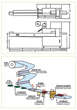 KD-450型上走紙枕式包裝機(jī)流程示意圖